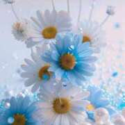 ヒメ日記 2025/09/04 03:00 投稿 ひみつ 京都デリヘル倶楽部FIRST