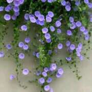 ヒメ日記 2025/09/04 21:20 投稿 ひみつ 京都デリヘル倶楽部FIRST