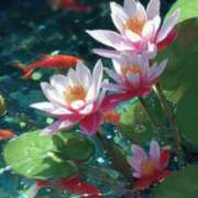 ヒメ日記 2025/09/26 17:56 投稿 ひみつ 京都デリヘル倶楽部FIRST