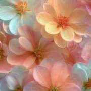 ヒメ日記 2025/09/26 18:09 投稿 ひみつ 京都デリヘル倶楽部FIRST