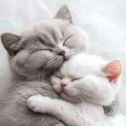 ヒメ日記 2025/09/27 01:01 投稿 ひみつ 京都デリヘル倶楽部FIRST