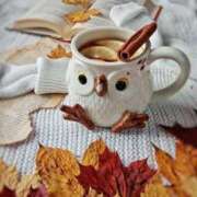 ヒメ日記 2025/09/28 03:35 投稿 ひみつ 京都デリヘル倶楽部FIRST