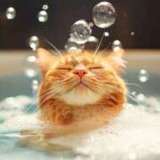 ヒメ日記 2025/11/07 23:32 投稿 ひみつ 京都デリヘル倶楽部FIRST