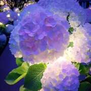 ヒメ日記 2025/05/29 18:30 投稿 ひみつ 京都ホテヘル倶楽部