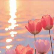 ヒメ日記 2025/06/15 20:45 投稿 ひみつ 京都ホテヘル倶楽部