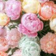 ヒメ日記 2025/06/16 03:00 投稿 ひみつ 京都ホテヘル倶楽部