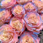 ヒメ日記 2025/06/16 10:30 投稿 ひみつ 京都ホテヘル倶楽部