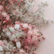 ヒメ日記 2025/06/16 17:30 投稿 ひみつ 京都ホテヘル倶楽部