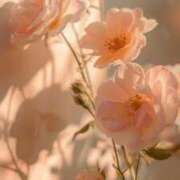 ヒメ日記 2025/06/17 12:01 投稿 ひみつ 京都ホテヘル倶楽部