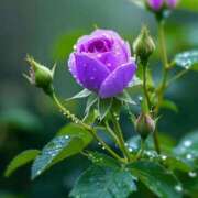 ヒメ日記 2025/06/17 20:00 投稿 ひみつ 京都ホテヘル倶楽部