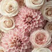 ヒメ日記 2025/07/01 02:31 投稿 ひみつ 京都ホテヘル倶楽部