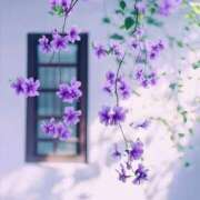 ヒメ日記 2025/07/01 22:01 投稿 ひみつ 京都ホテヘル倶楽部