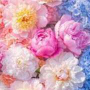 ヒメ日記 2025/07/04 19:37 投稿 ひみつ 京都ホテヘル倶楽部