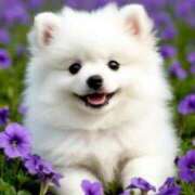 ヒメ日記 2025/08/31 19:01 投稿 ひみつ 京都ホテヘル倶楽部