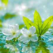 ヒメ日記 2025/08/31 19:58 投稿 ひみつ 京都ホテヘル倶楽部