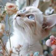 ヒメ日記 2025/09/02 15:34 投稿 ひみつ 京都ホテヘル倶楽部