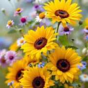 ヒメ日記 2025/09/03 02:30 投稿 ひみつ 京都ホテヘル倶楽部