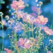 ヒメ日記 2025/09/03 20:24 投稿 ひみつ 京都ホテヘル倶楽部