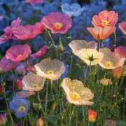 ヒメ日記 2025/09/04 17:36 投稿 ひみつ 京都ホテヘル倶楽部