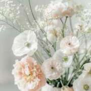 ヒメ日記 2025/09/25 16:12 投稿 ひみつ 京都ホテヘル倶楽部