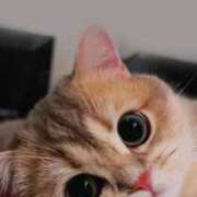 ヒメ日記 2025/09/26 15:26 投稿 ひみつ 京都ホテヘル倶楽部