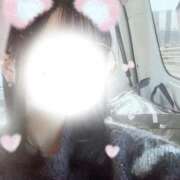 ヒメ日記 2025/05/27 04:37 投稿 さつき しろうとCollection