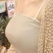 ヒメ日記 2025/12/13 01:54 投稿 ブルガリ SWEET LADY（スイートレディー）