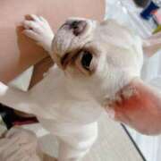 ヒメ日記 2025/06/03 17:56 投稿 あい 桜フェアリーテイル