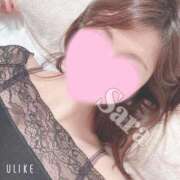 ヒメ日記 2026/02/12 18:08 投稿 さら 品川ハイブリッドマッサージ