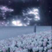 ヒメ日記 2025/05/24 22:53 投稿 るあ CLUB DEEP 博多