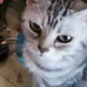 ヒメ日記 2025/07/10 16:55 投稿 ゆずか 性腺熟女100％（デリヘル市場）