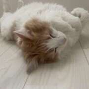 ヒメ日記 2026/02/22 11:05 投稿 山本 Mrs.Deep SPA（ディープスパ）