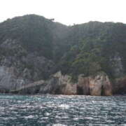 ヒメ日記 2025/06/26 10:26 投稿 りんな ライラック