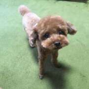 ヒメ日記 2025/08/06 08:31 投稿 りんな ライラック