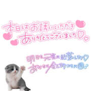 ヒメ日記 2025/10/29 00:56 投稿 つき メイドde本舗