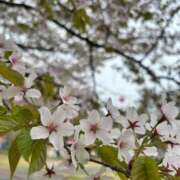 ヒメ日記 2025/05/24 09:12 投稿 かなみ　奥様 SUTEKIな奥様は好きですか?