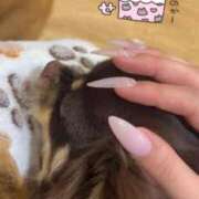 ヒメ日記 2026/01/25 00:22 投稿 せな MINT（ミント）