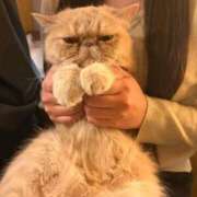 せな 🩶 MINT（ミント）