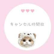 ヒメ日記 2025/08/05 17:43 投稿 白河あいね Finemotion