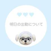 ヒメ日記 2025/08/08 21:56 投稿 白河あいね Finemotion