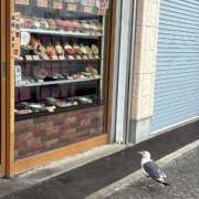 ヒメ日記 2025/08/29 18:15 投稿 白河あいね Finemotion