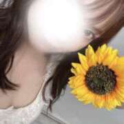 ヒメ日記 2025/09/04 17:44 投稿 白河あいね Finemotion