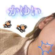 ヒメ日記 2025/10/11 07:08 投稿 白河あいね Finemotion