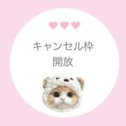 ヒメ日記 2025/10/23 20:35 投稿 白河あいね Finemotion