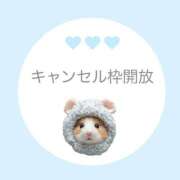 ヒメ日記 2025/10/26 22:28 投稿 白河あいね Finemotion