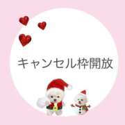 ヒメ日記 2025/12/20 10:07 投稿 白河あいね Finemotion