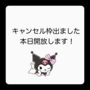 ヒメ日記 2025/12/29 17:24 投稿 白河あいね Finemotion