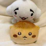 ヒメ日記 2026/01/29 03:03 投稿 白河あいね Finemotion