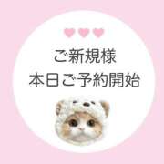 ヒメ日記 2026/02/06 05:07 投稿 白河あいね Finemotion