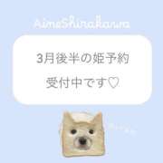 ヒメ日記 2026/03/08 11:31 投稿 白河あいね Finemotion